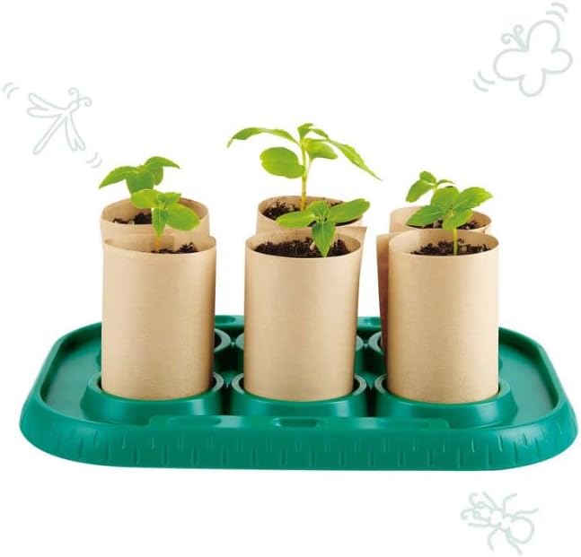 Plant Growing Wooden Greenhouse Kits for Kids STEM Project Activity| Green Toys Gardening Science Gifts for Kids Ages 4Y+