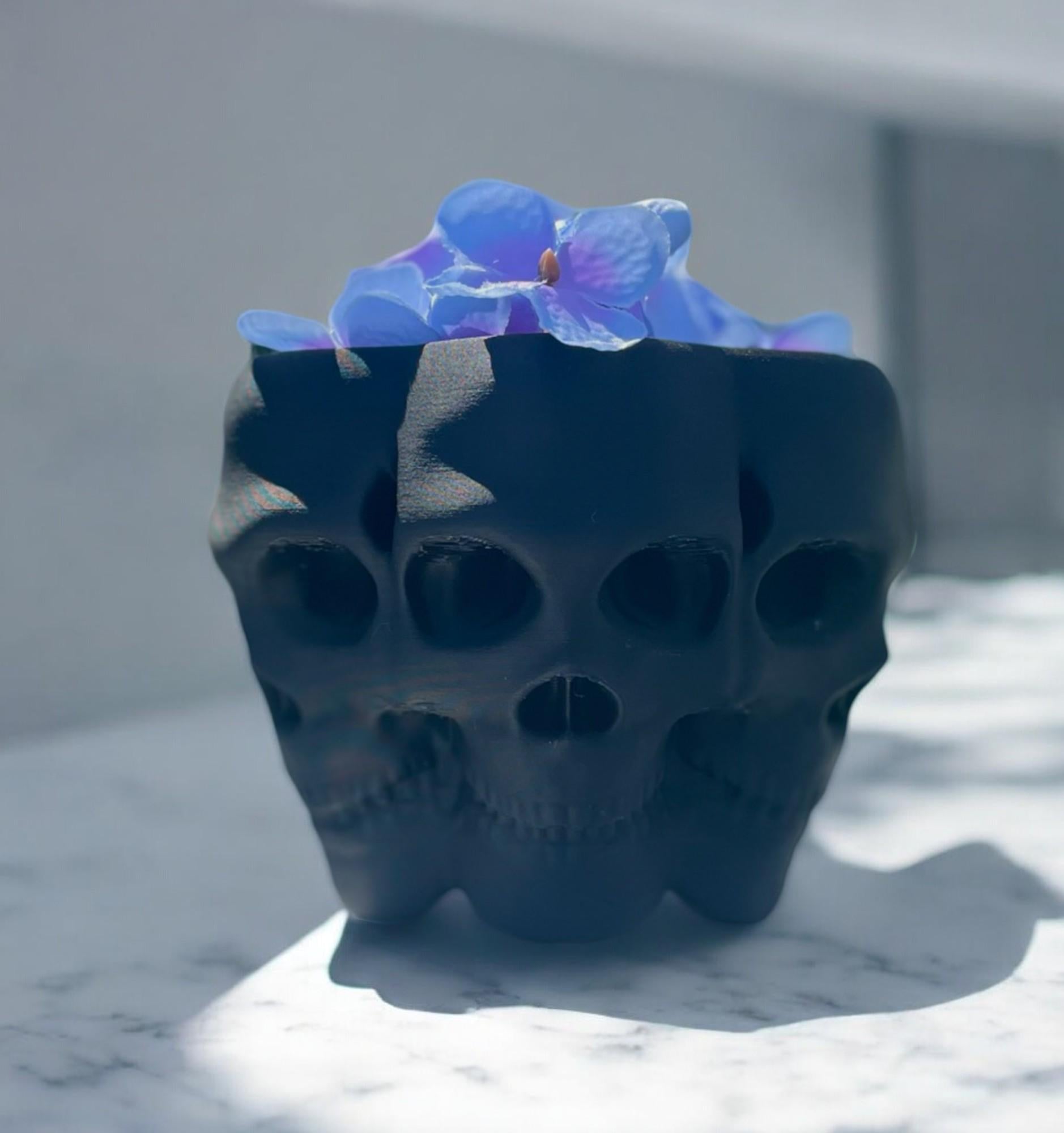 Multifaced Skull Planter, Poly Face Vase, Goth Flower Pot, Skeleton Bowl, Succulent, Cacti, Air Plant, Halloween Decor, Home, Garden, Office