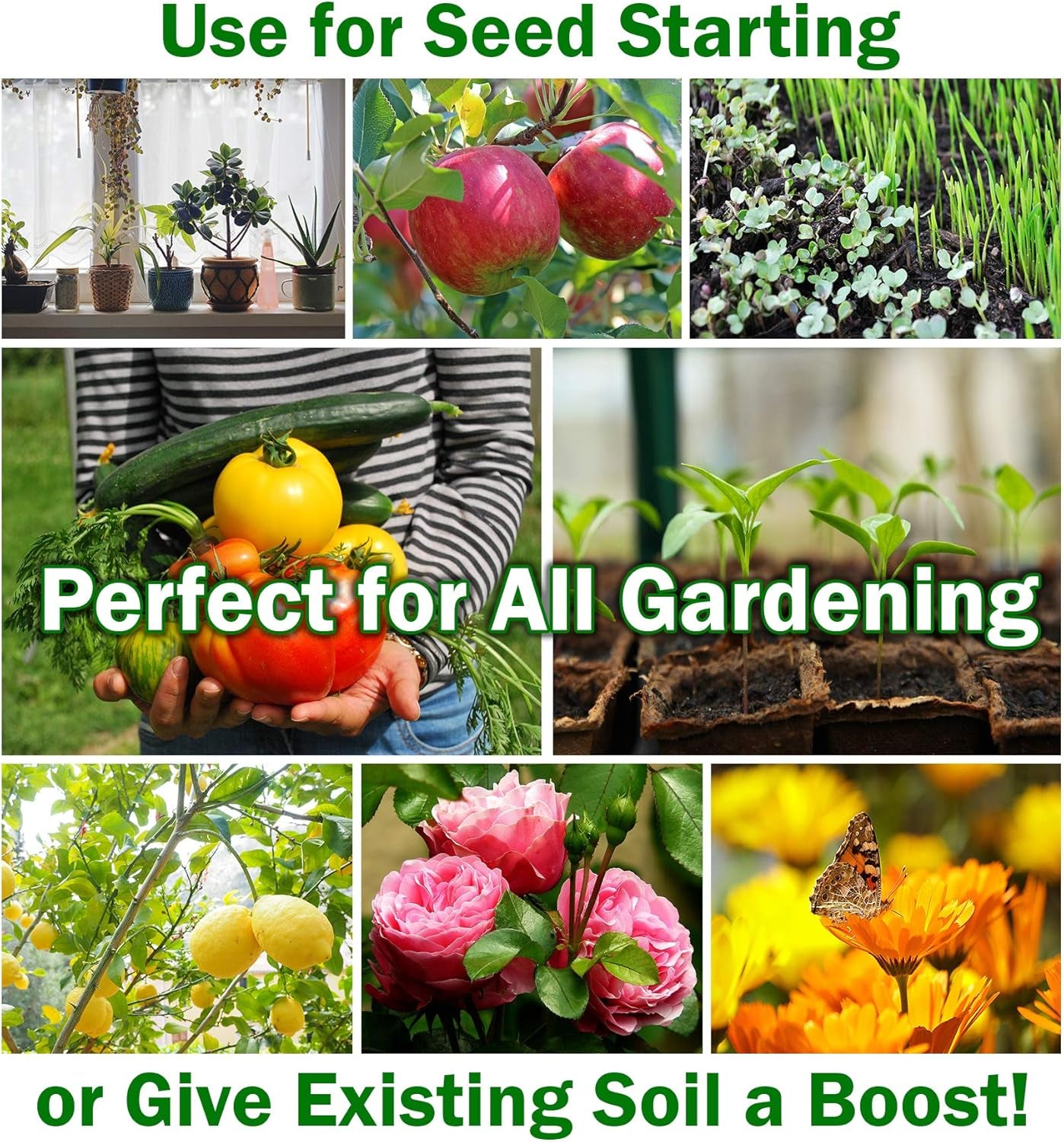 Organic Potting Soil | Ready to Plant Coco Coir Fully Loaded with Nutrients | 3 LBS Bag Expands to 12 Quarts of Indoor Outdoor Soil for Gardens & Plants | Incl Worm Castings, Perlite