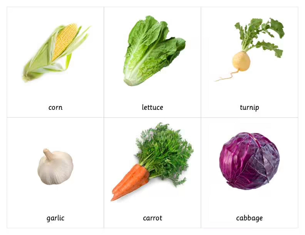 Vegetable Montessori 3 Part Cards