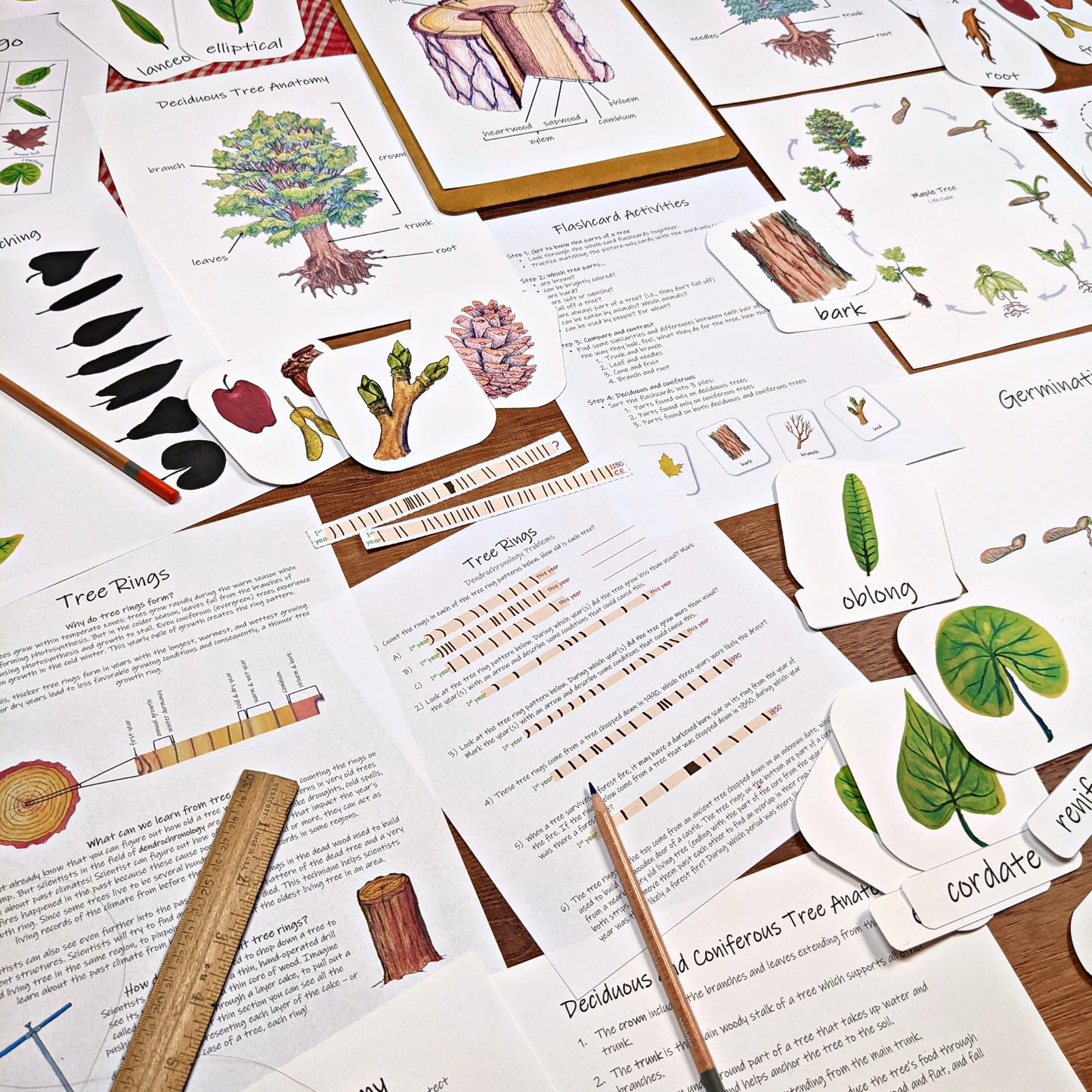 Forest Collection: Three complete tree and forest-themed unit studies! Covering forest ecology, math, plant biology, and more!