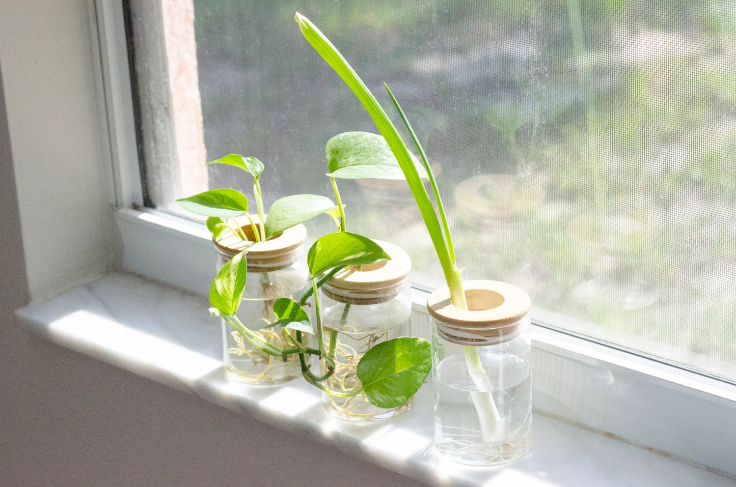 Propagation Station Jar Flower Vase with Bamboo Lid
