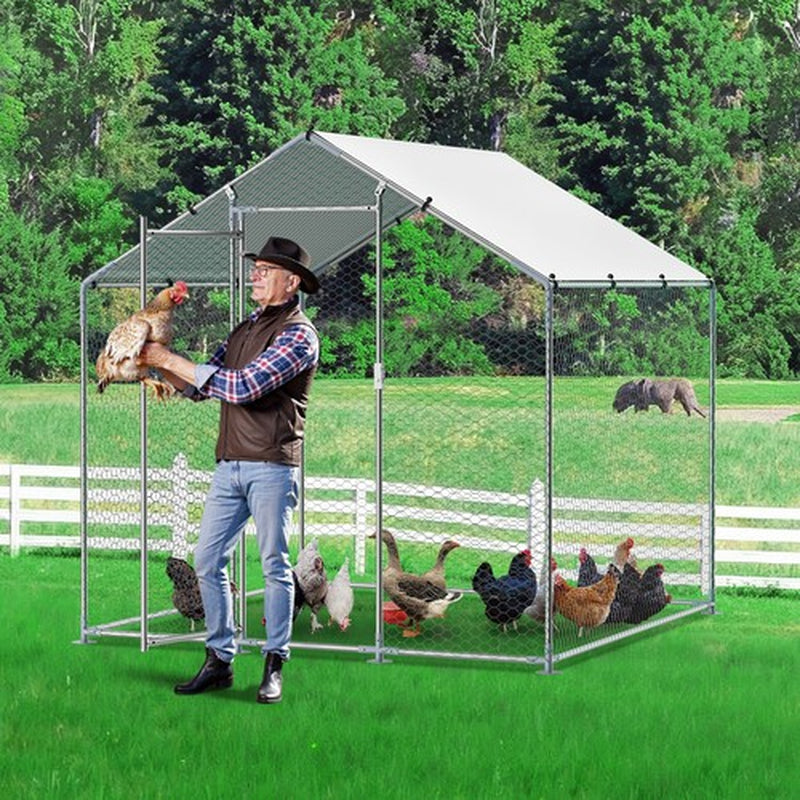 Metal Chicken Coop 6.56x6.56x6.56