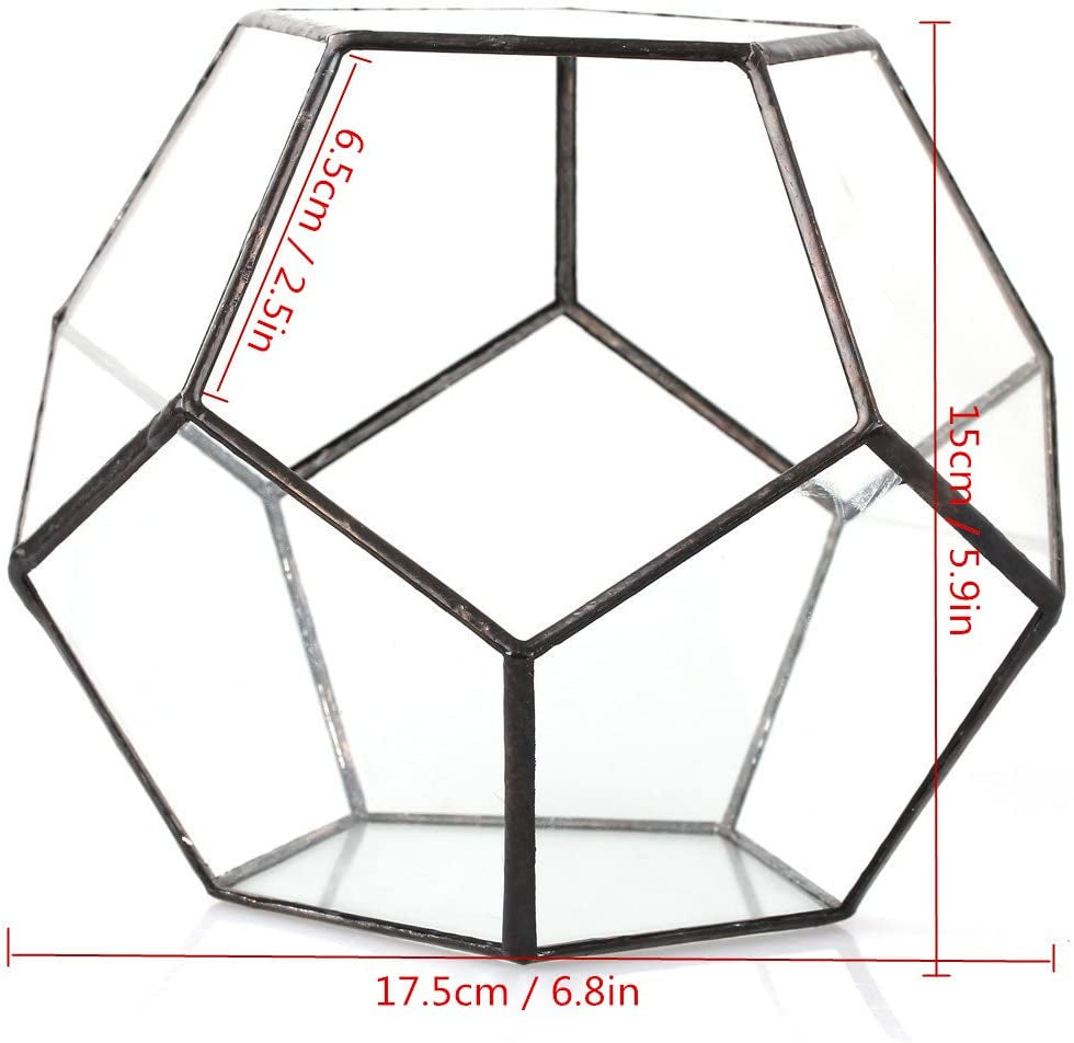Small Open Terrarium Planter - 6.89" x 6.89" x 5.9" Pentagon Geometric Glass Container Pot for Succulents, Air Plants - Home Garden Tabletop Miniature Decor, Black (No Plants)