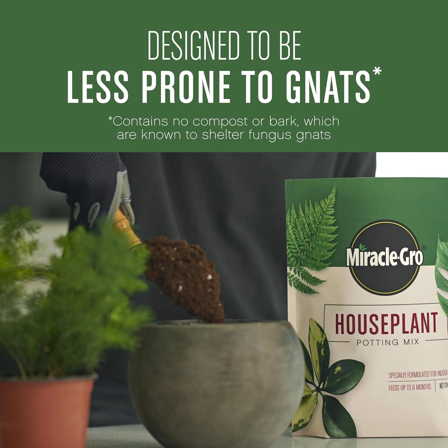 Houseplant Potting Mix: Fertilized, Perlite Soil for Indoor Gardening, Designed to Be Less Prone to Gnats, 4 qt.