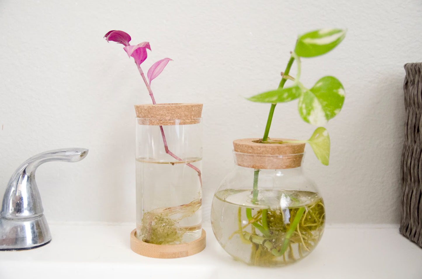 Propagation Jar Hydroponic Vase Cork Lid Plant Terrarium