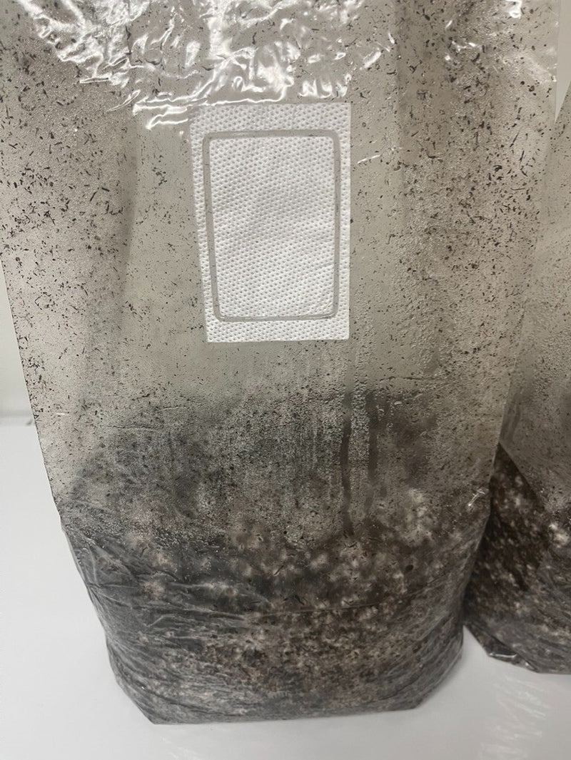 MycoHaus 2X Five LB Bags Sterilized Compost Bulk Mushroom Substrate Grow Kit
