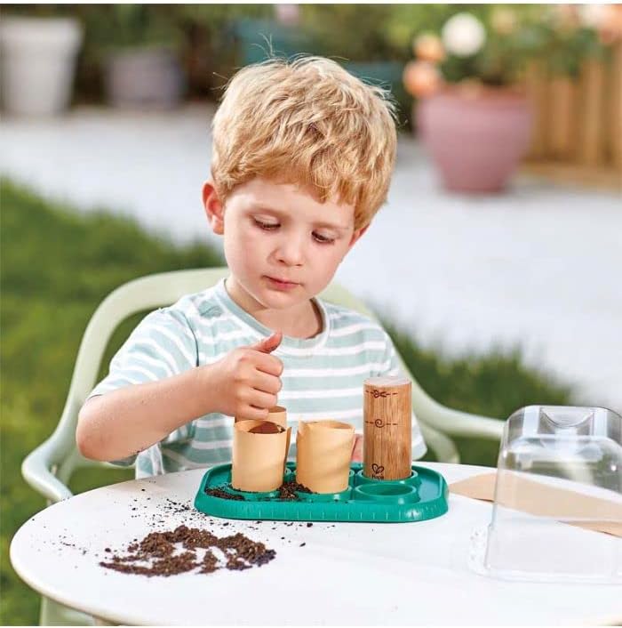 Plant Growing Wooden Greenhouse Kits for Kids STEM Project Activity| Green Toys Gardening Science Gifts for Kids Ages 4Y+