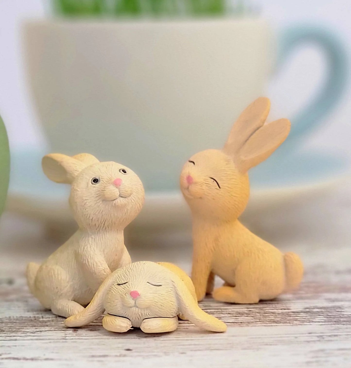 Adorable DIY Bunny Terrarium Kit by , Easter Basket Stuffer, Kids Plant Set with Wheatgrass Seeds, Fun Spring Science Craft or Gift