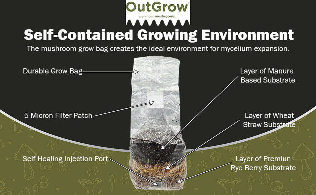 All in One Mushroom Grow Bag 2-Pack) | For Dung Loving Mushrooms | Ready To Use