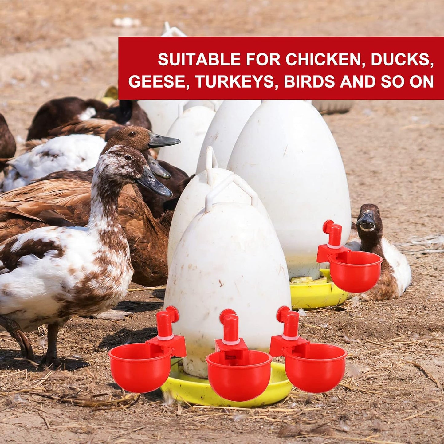 Chicken Water Cups Chicken Waterer Cups Water Feeder Cup 3/8 Inch Thread Automatic Filling Waterer Poultry Drinking Bowl for Duck Turkey Bunny(Red,12 Pieces)