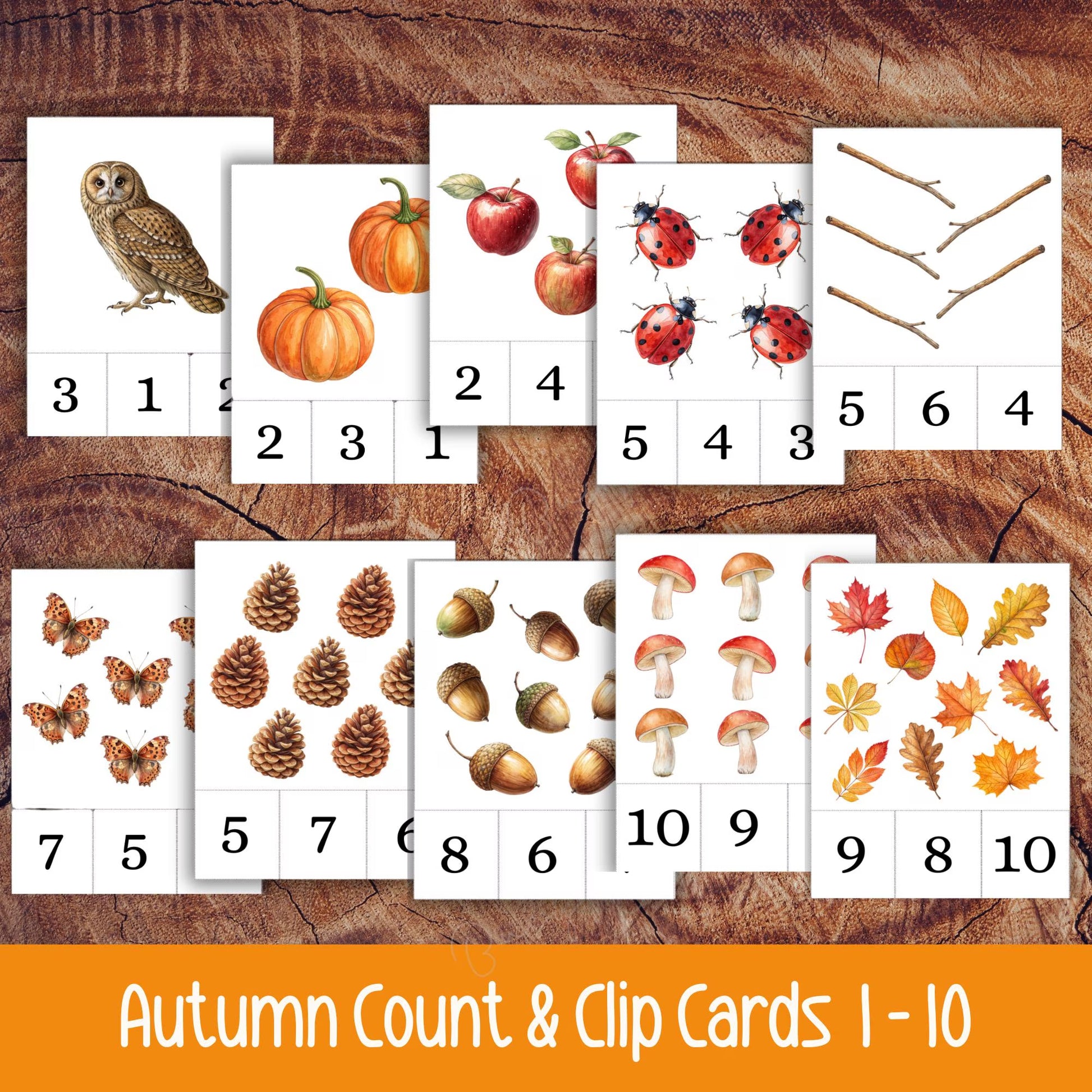 Autumn Count and Clip Cards, Fall Nature Counting Activity for Toddlers & Preschool, Montessori Printable