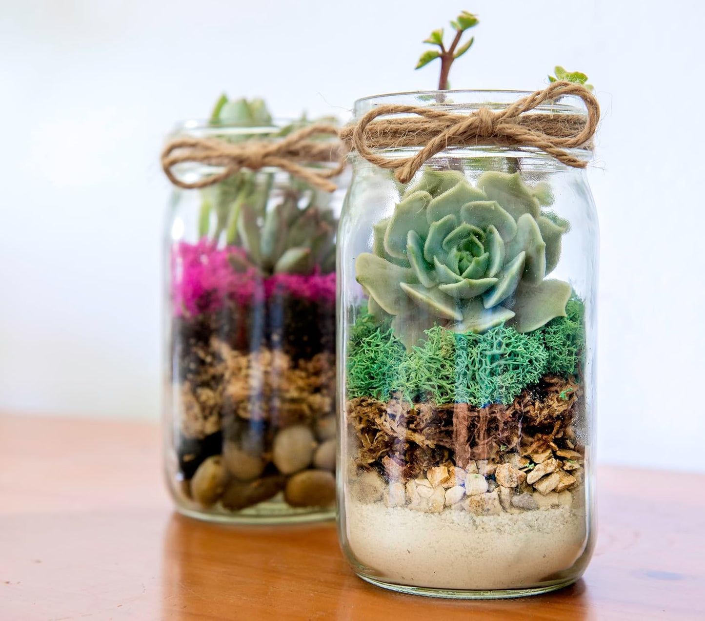 Portland Terrarium kit - DIY Mason Jar Terrarium Kit