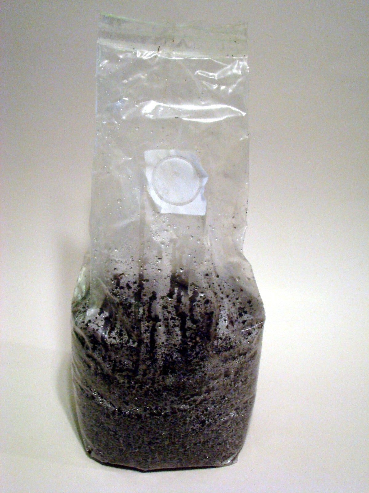 16 LBS Bulk Substrate Mushroom Grow Bag - Dung Lovers - Pasteurized