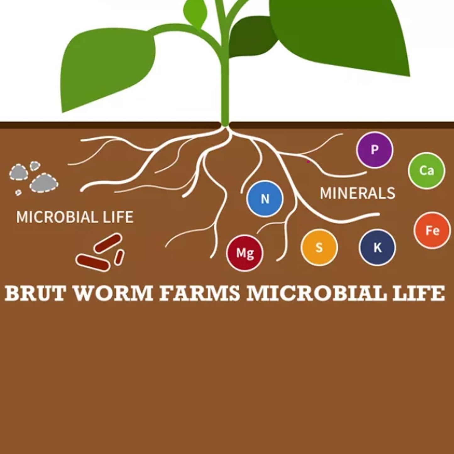 Brut Organic Worm Castings – 30 LB – Natural Nutrients, Fertility Builder, Plant Food for Potting Soil, Garden Soil, Indoor and Outdoor Use