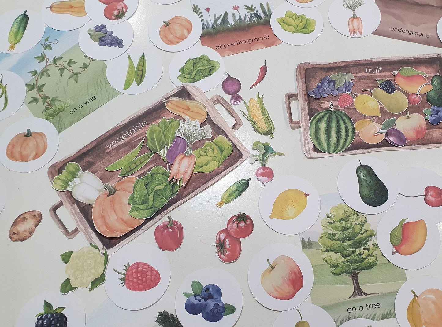 Fruit and Vegetable Sorting Games, Farm Harvest Sorting Games, Montessori Garden Fruit & Vegetable Activities, Where Do They Grow Sorting
