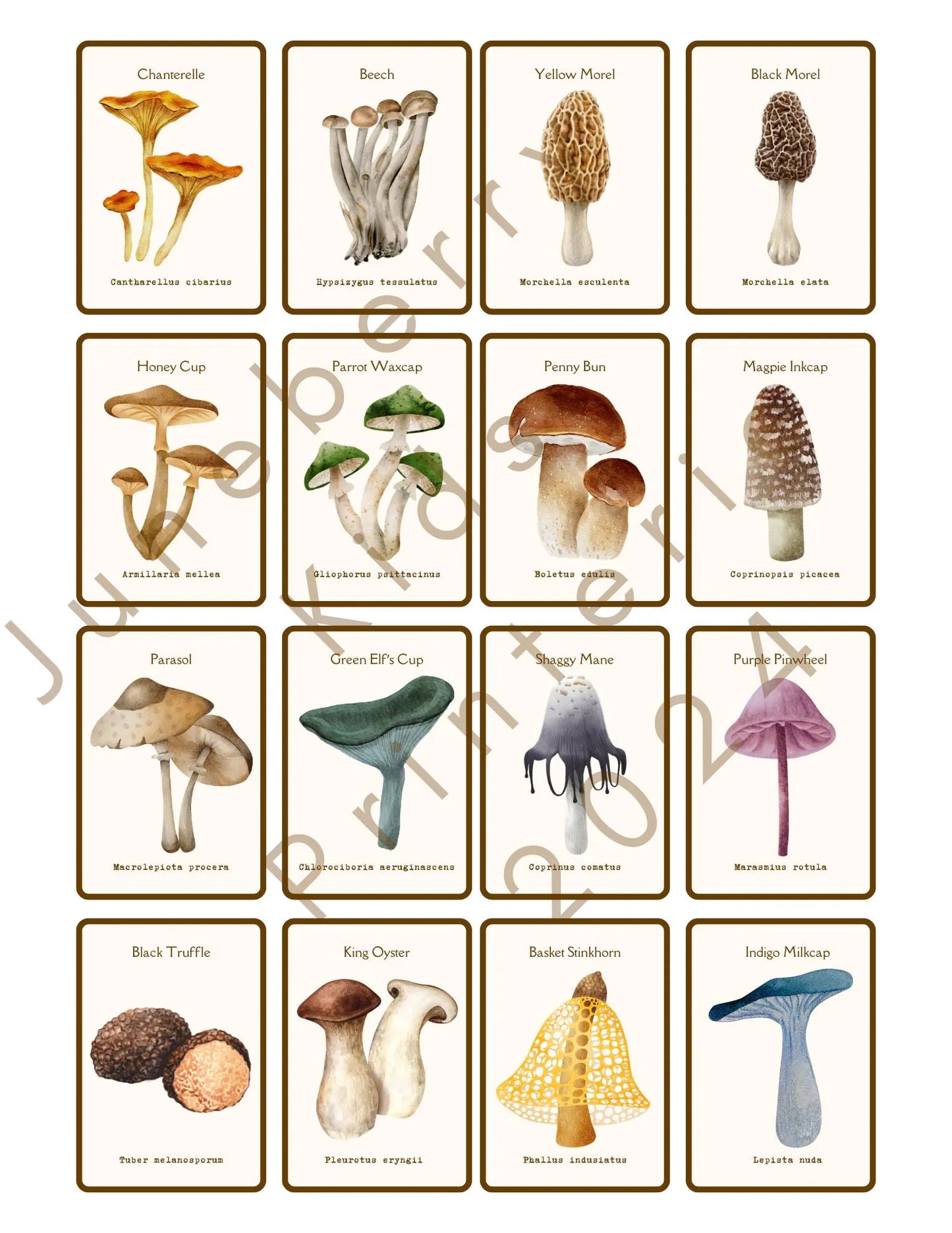 Watercolor Mushroom Flashcards | Reggio Nature Study, Montessori Learning Materials, Charlotte Mason, Early Childhood, Homeschool Printables