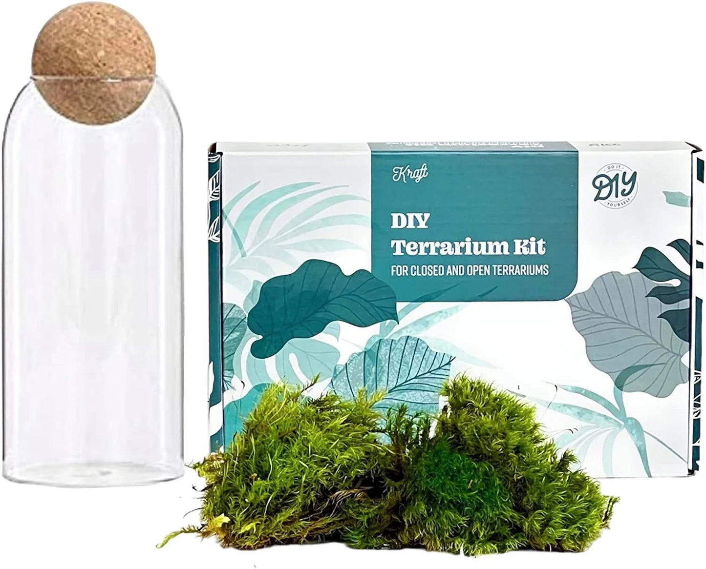 Complete Closed terrarium kit with live plants and live moss, bioactive terrarium, sealed terrarium kit / science kit for kids, mothers day