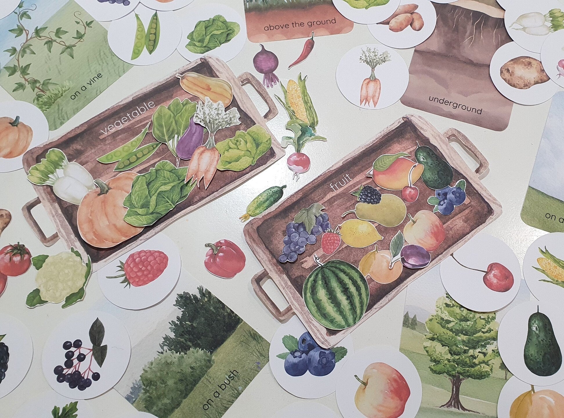 Fruit and Vegetable Sorting Games, Farm Harvest Sorting Games, Montessori Garden Fruit & Vegetable Activities, Where Do They Grow Sorting