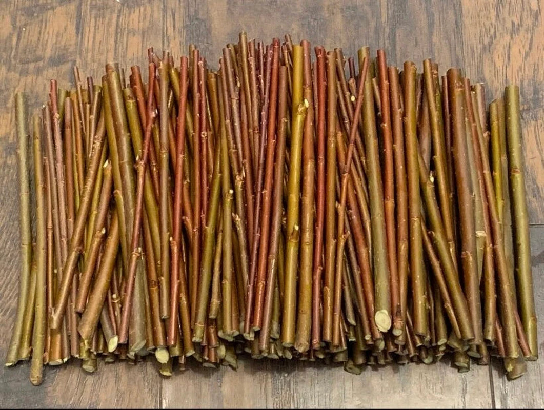 10 Purple Willow Cuttings