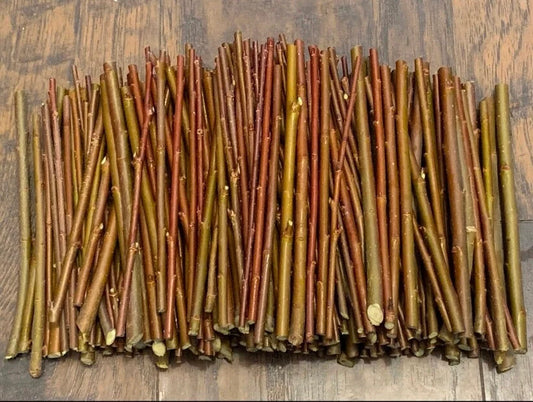 10 Purple Willow Cuttings