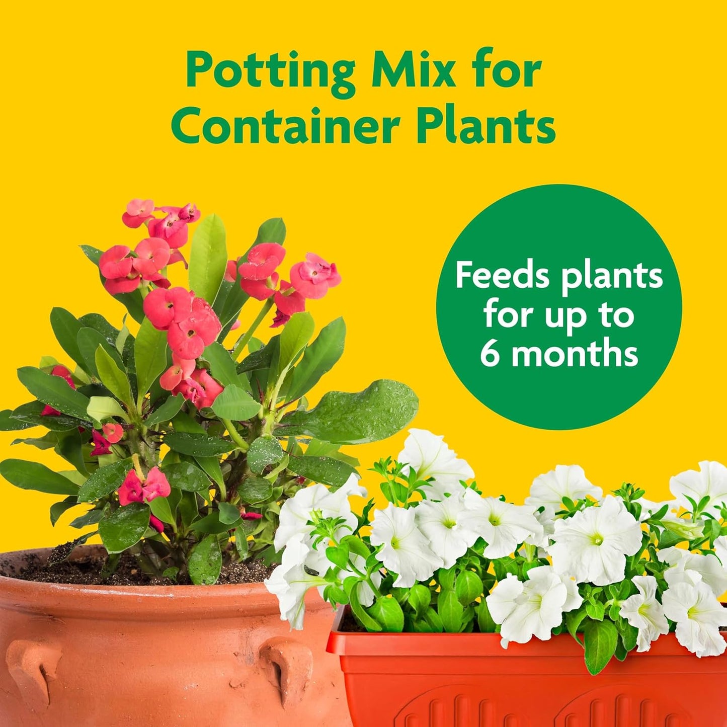 Potting Mix, For Container Plants, Flowers, Vegetables, Annuals, Perennials, Shrubs, Feeds for up to 6 Months, 16. qt., 2-Pack
