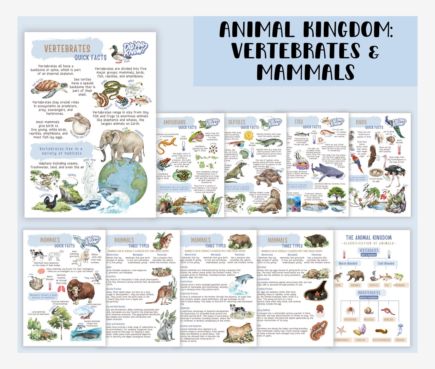 3 Unit Study BUNDLE Educational Resources for Teachers, Homeschool and Montessori Learning Spaces, Watercolor Illustrations