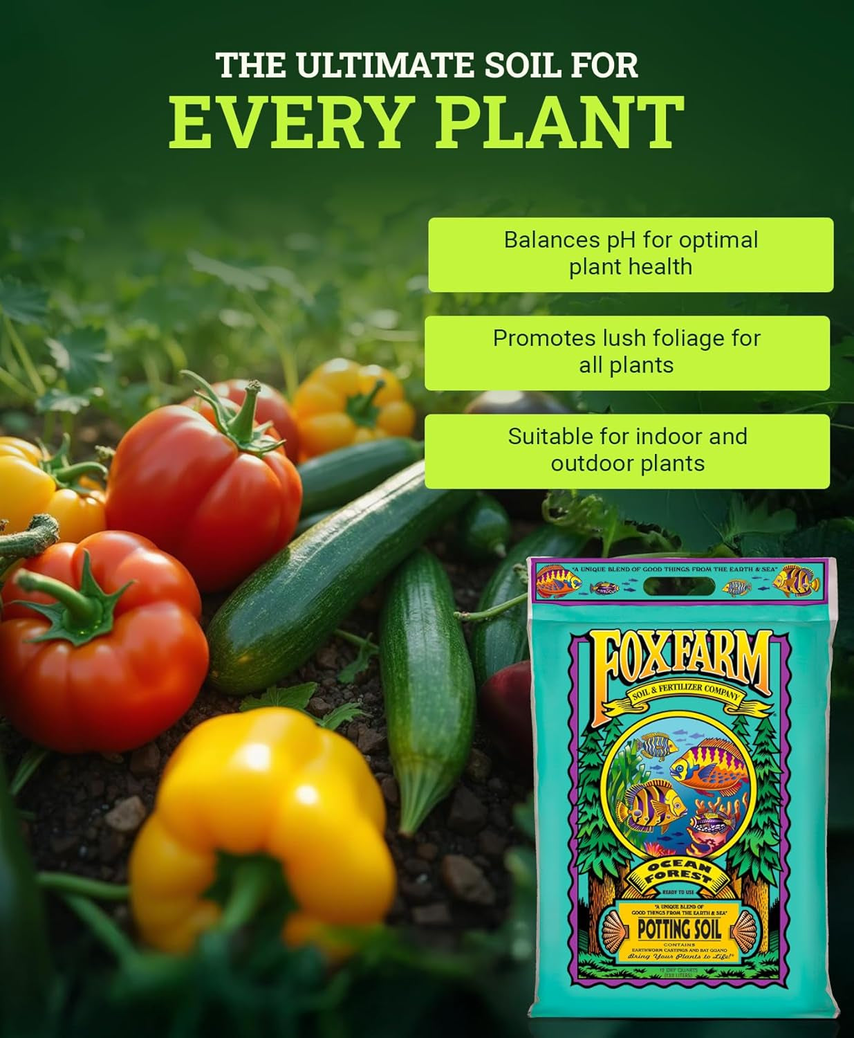 Ocean Forest Potting Soil, 12qt – Light, Aerated Texture, Designed for All Container Plants – pH Adjusted for Optimal Nutrient Uptake, Effectively Retains Moisture (12 Quart (2 Pack))