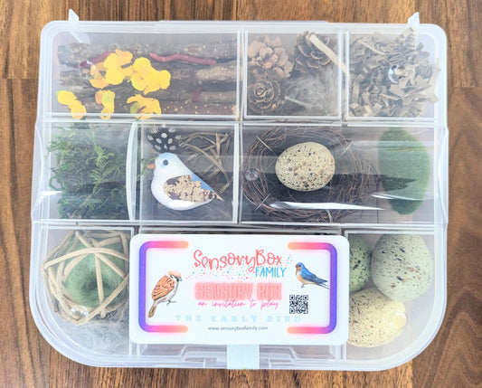 Bird Themed Sensory Box Loose Parts Play Tinker Tray Montessori