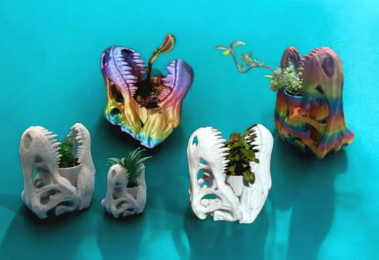 T-Rex Planter, Dinosaur Plant Pot, Dino Skull Planter, Fossil Planter, T-Rex Desk Décor, Dinosaur Skull Pot, Dino Succulent Pot, Dino Pot