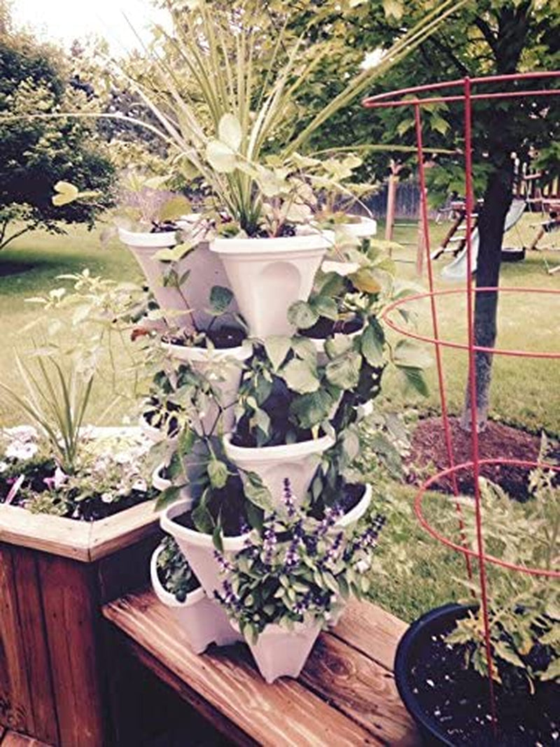 5 Tiered Vertical Gardening Planter, Indoor & Outdoor