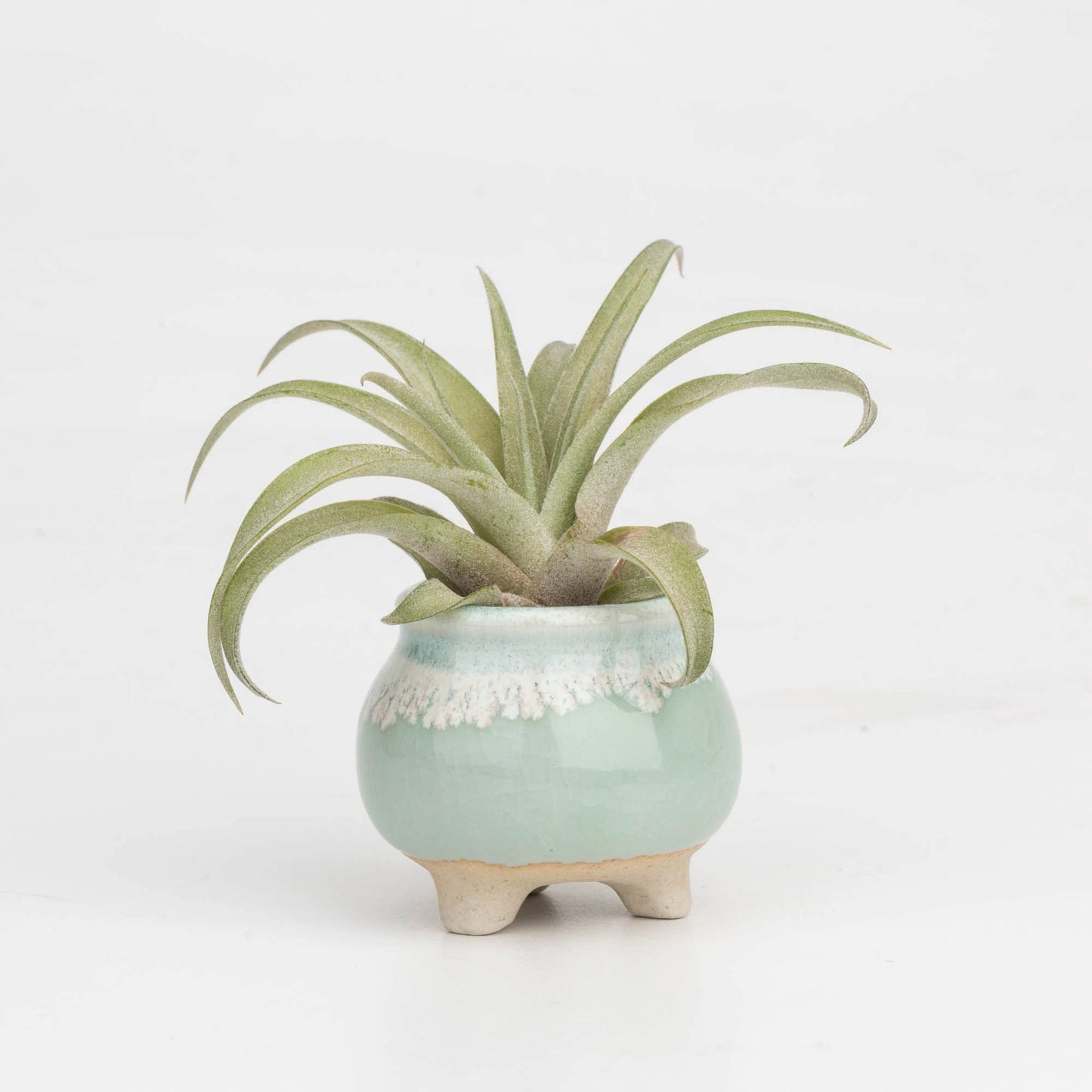 Mini size ceramic planter set, air plant pot, baby lithops pot, cactus pot, succulent pot, minimalist pot, thick pot, indoor planting pot