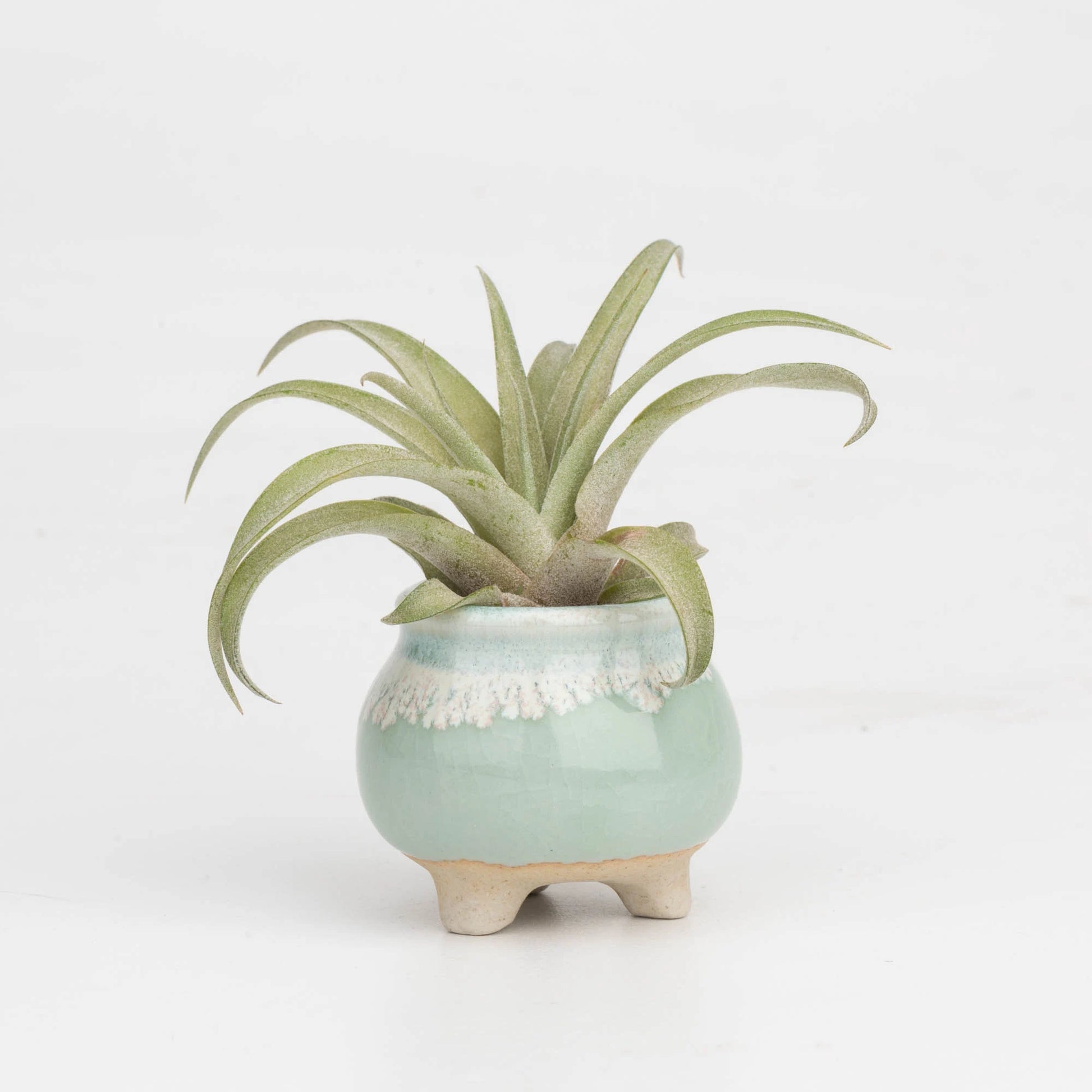 Mini size ceramic planter set, air plant pot, baby lithops pot, cactus pot, succulent pot, minimalist pot, thick pot, indoor planting pot