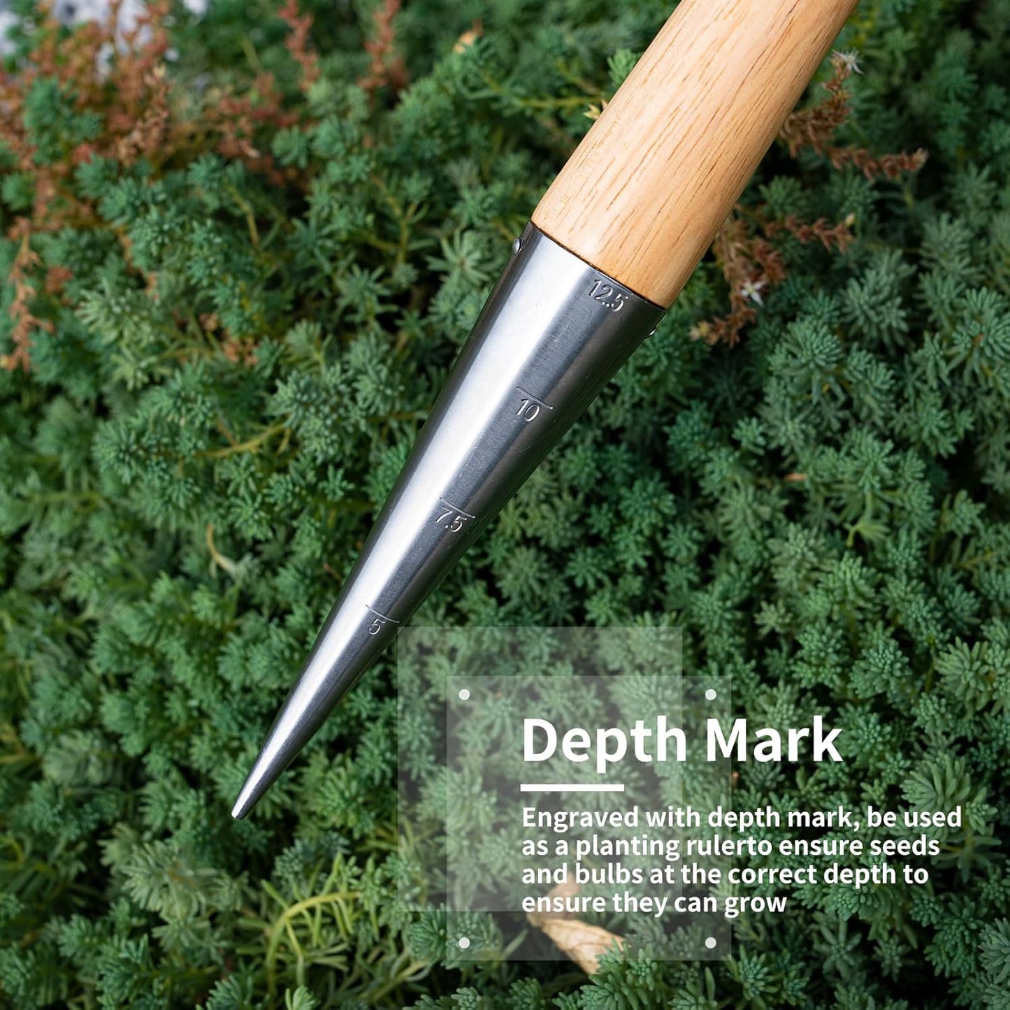 Hand Dibber Garden Tool, Seed Planter Tool with Wood Handle for Sowing Seed - 5" Seed Dispenser for Planting Steel Garden Dibber, Transplanting Plants,Planting Bulb,Digging