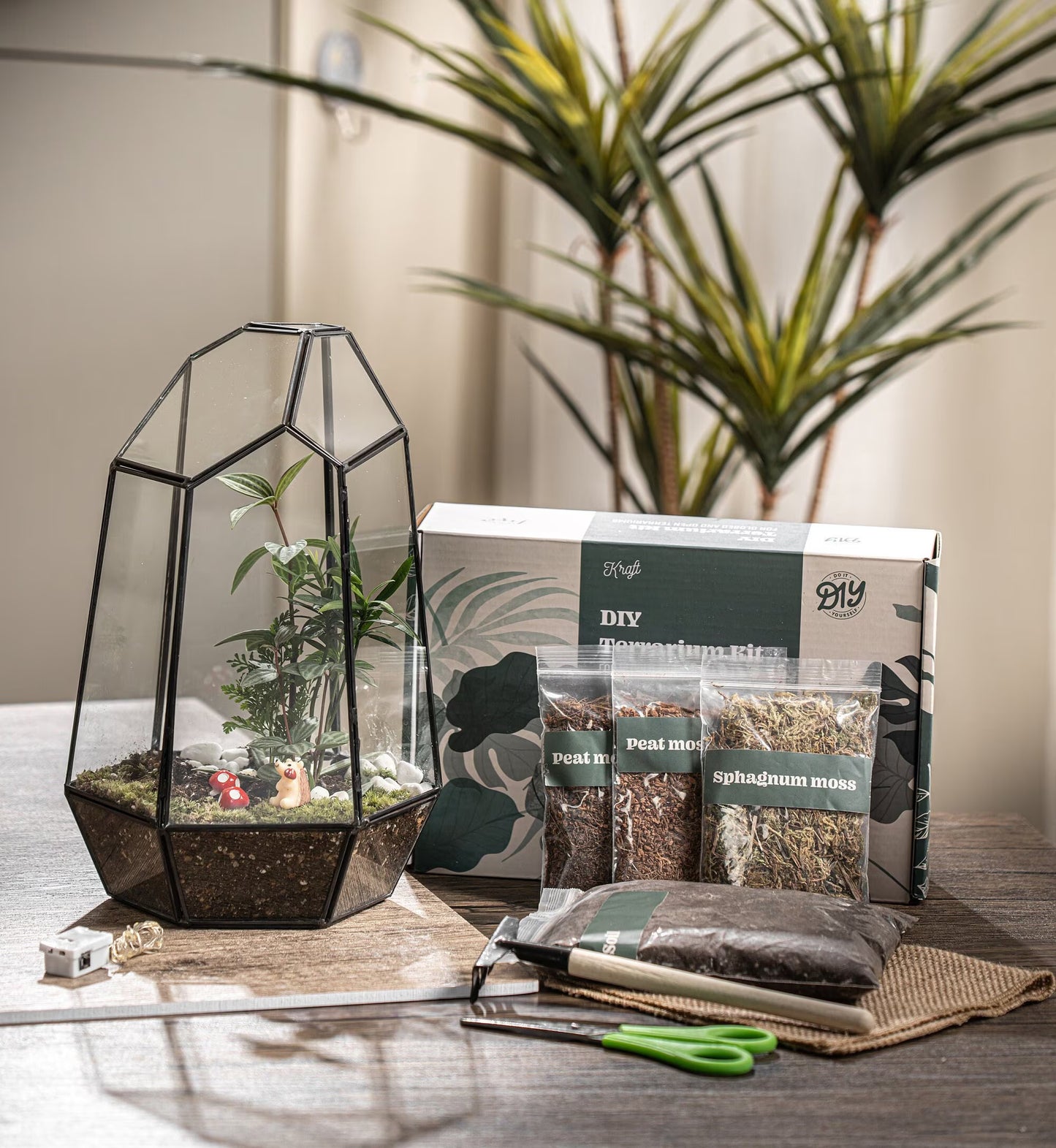 Large Terrarium Kit DIY / live Moss / Tropical Plant, bioactive terrarium, Holiday, birthday gift, Halloween gift, stem kit for kids