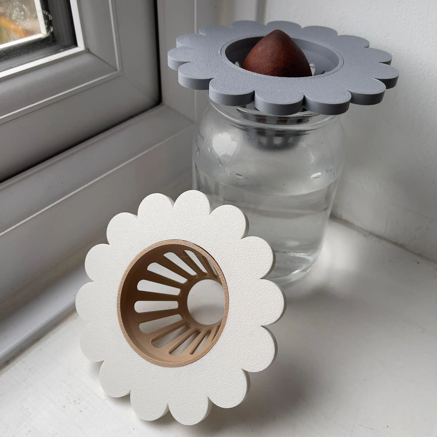Propagation Cone for Mason Jars | Avocado Seed Sprouter | Cute Flower Lid