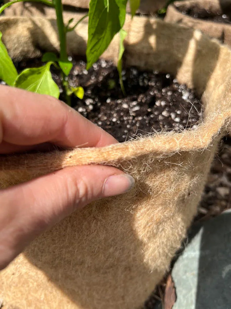 Hemp Material Pot Planter: Eco-Friendly Grow Bag