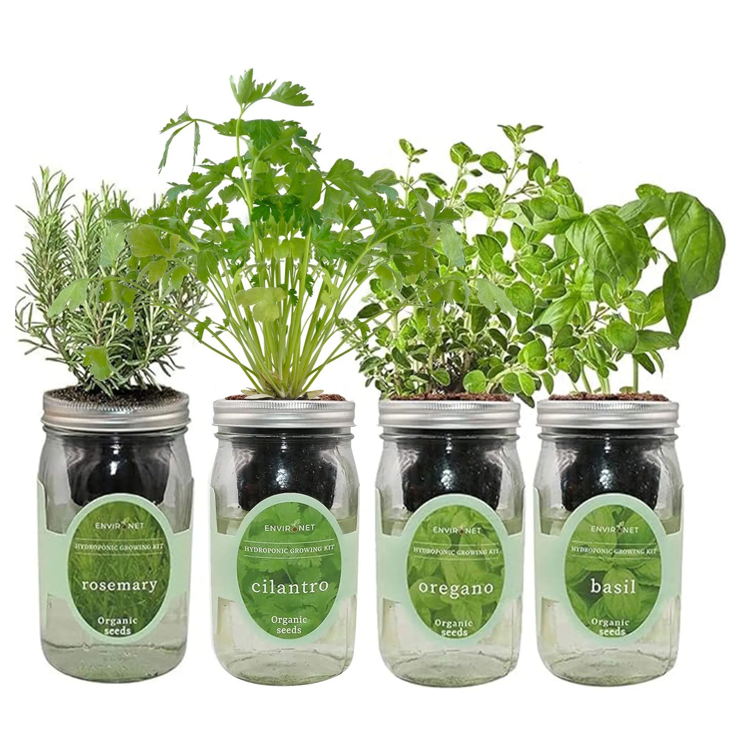 Mediterranean Herb Mix Garden Bundle- Mason Jar Hydroponic Kit Set with Organic Seeds (Rosemary, Cilantro, Oregano, Basil)