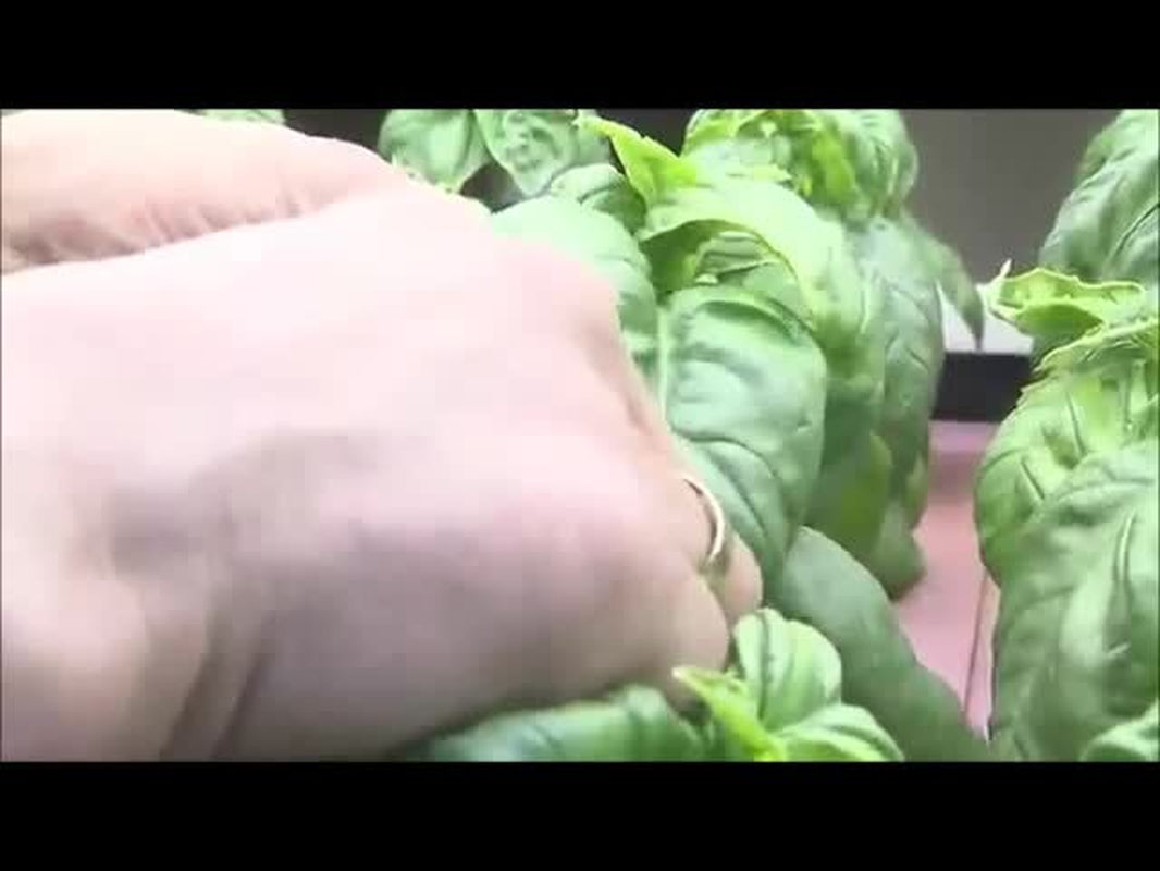 Hydroponics Aquaponics, Aquaculture Soilless Growth Raising Plants Fish DVD V66