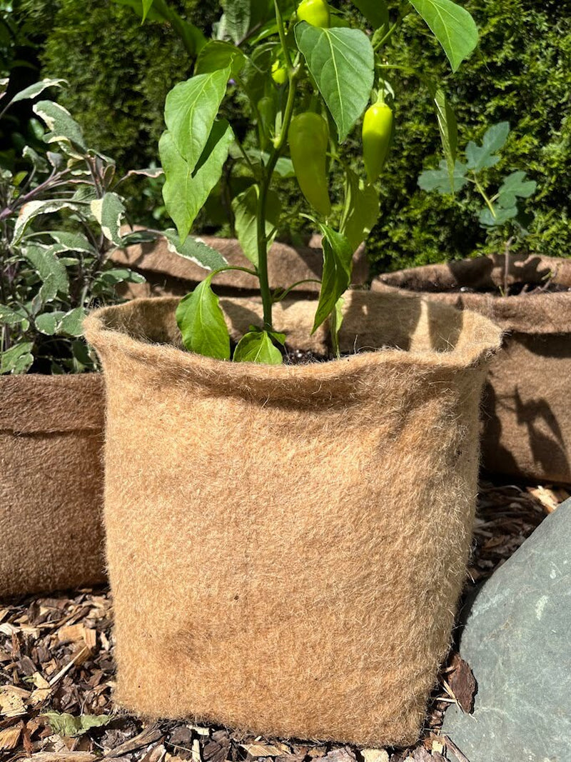 Hemp Material Pot Planter: Eco-Friendly Grow Bag