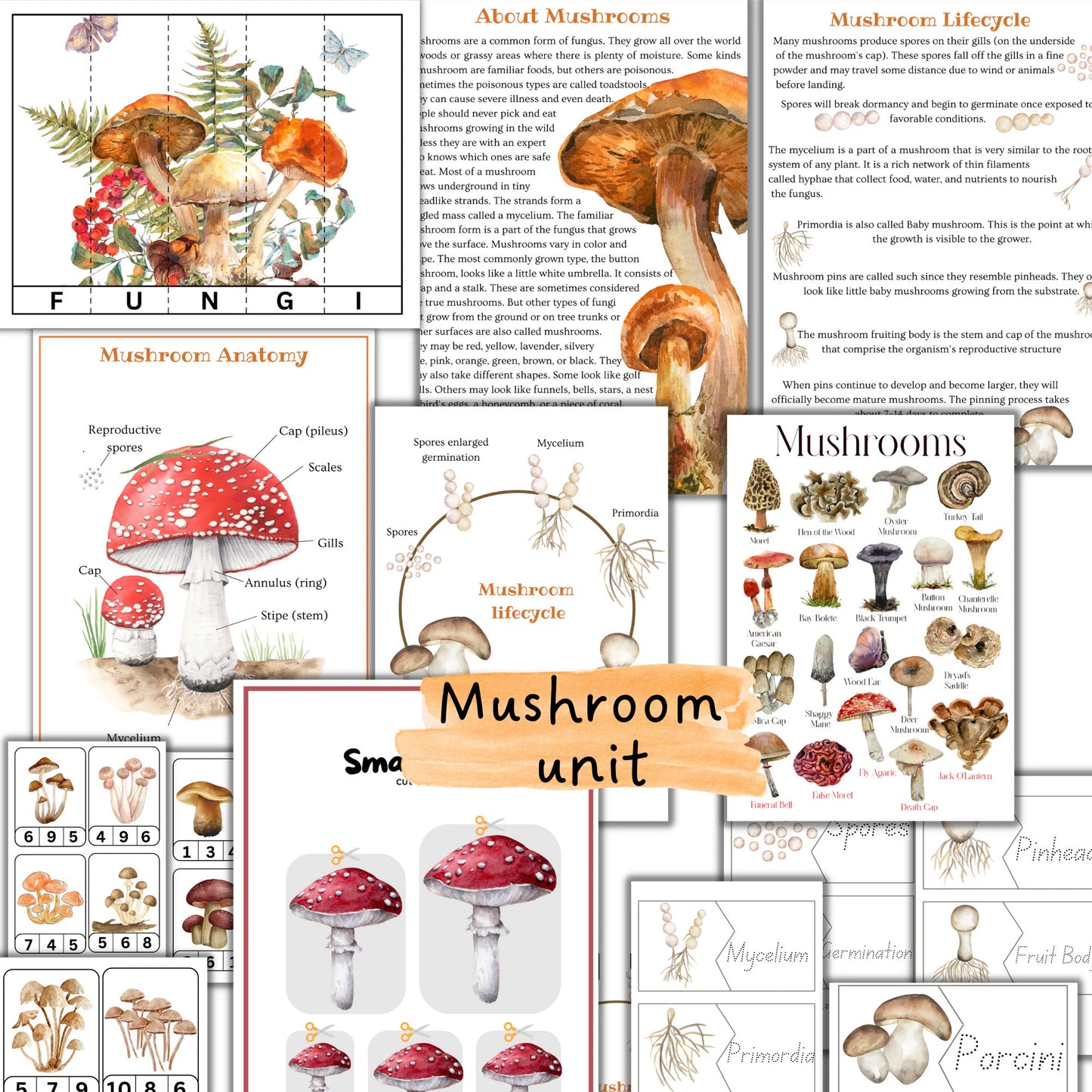 fall unit study, Mushroom unit study, Corn unit study, Fox unit study, Oak tree cycle, Fall activities, Fall nature study, Montessori fall