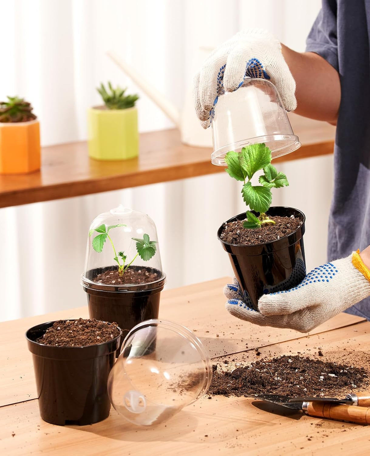 Nursery Pots for Plants,3/4/5 Inch Plant Pot for Planting with Humidity Domes Plastic Seedling with Drainage Holes Seed Starter Flower with 10 Labels Black (15 Pack)