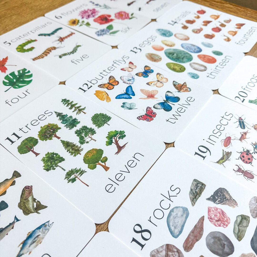 Nature Number Cards 1-20 Classroom Math Counting Cards Nursery Wall Art Montessori Pre K Homeschool Activities Classroom Nature Aesthetic