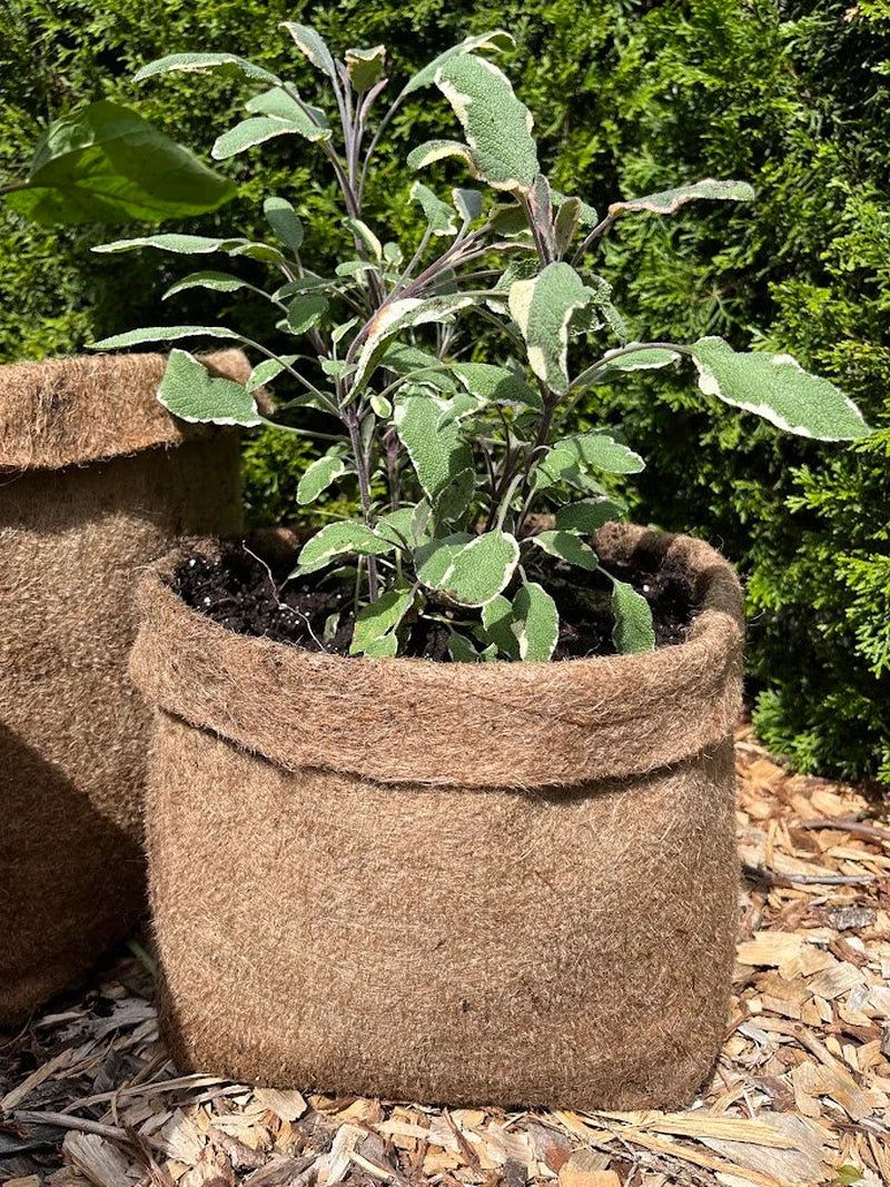 Hemp Material Pot Planter: Eco-Friendly Grow Bag