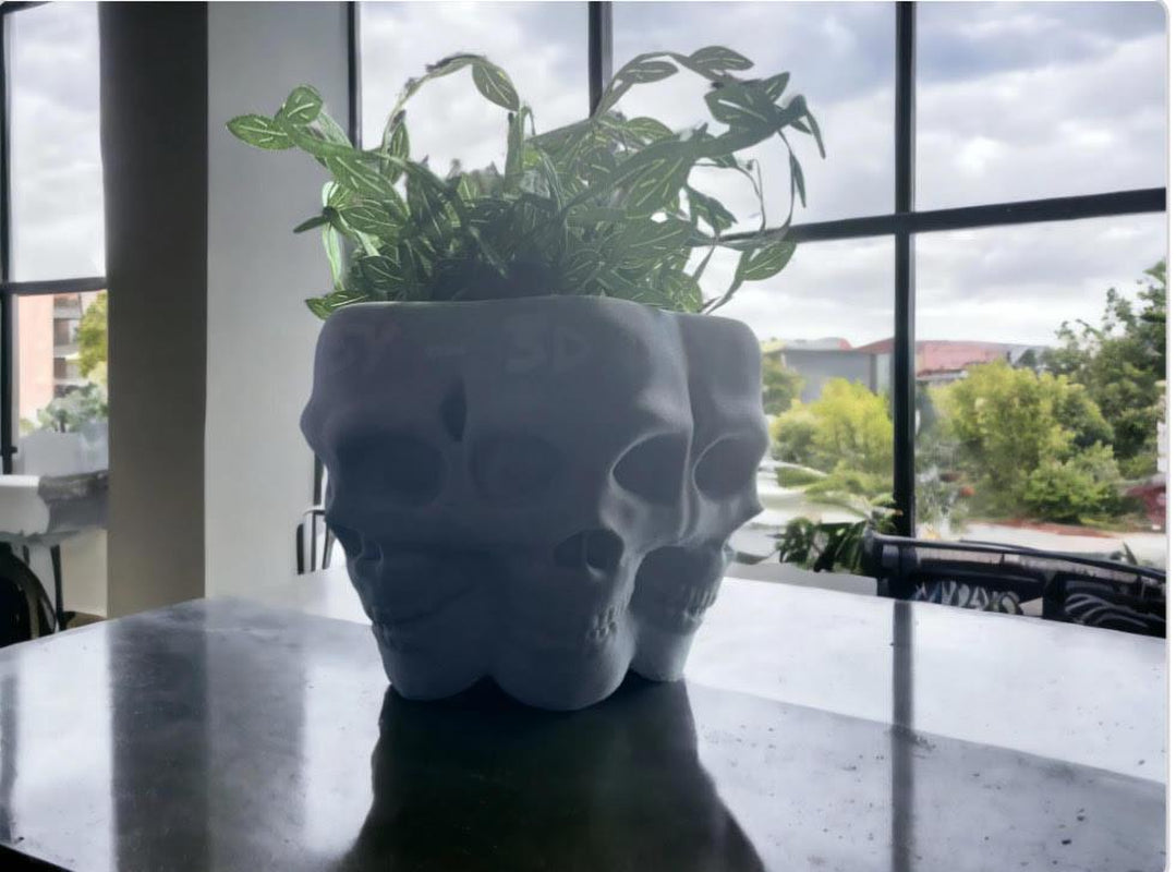 Multifaced Skull Planter, Poly Face Vase, Goth Flower Pot, Skeleton Bowl, Succulent, Cacti, Air Plant, Halloween Decor, Home, Garden, Office