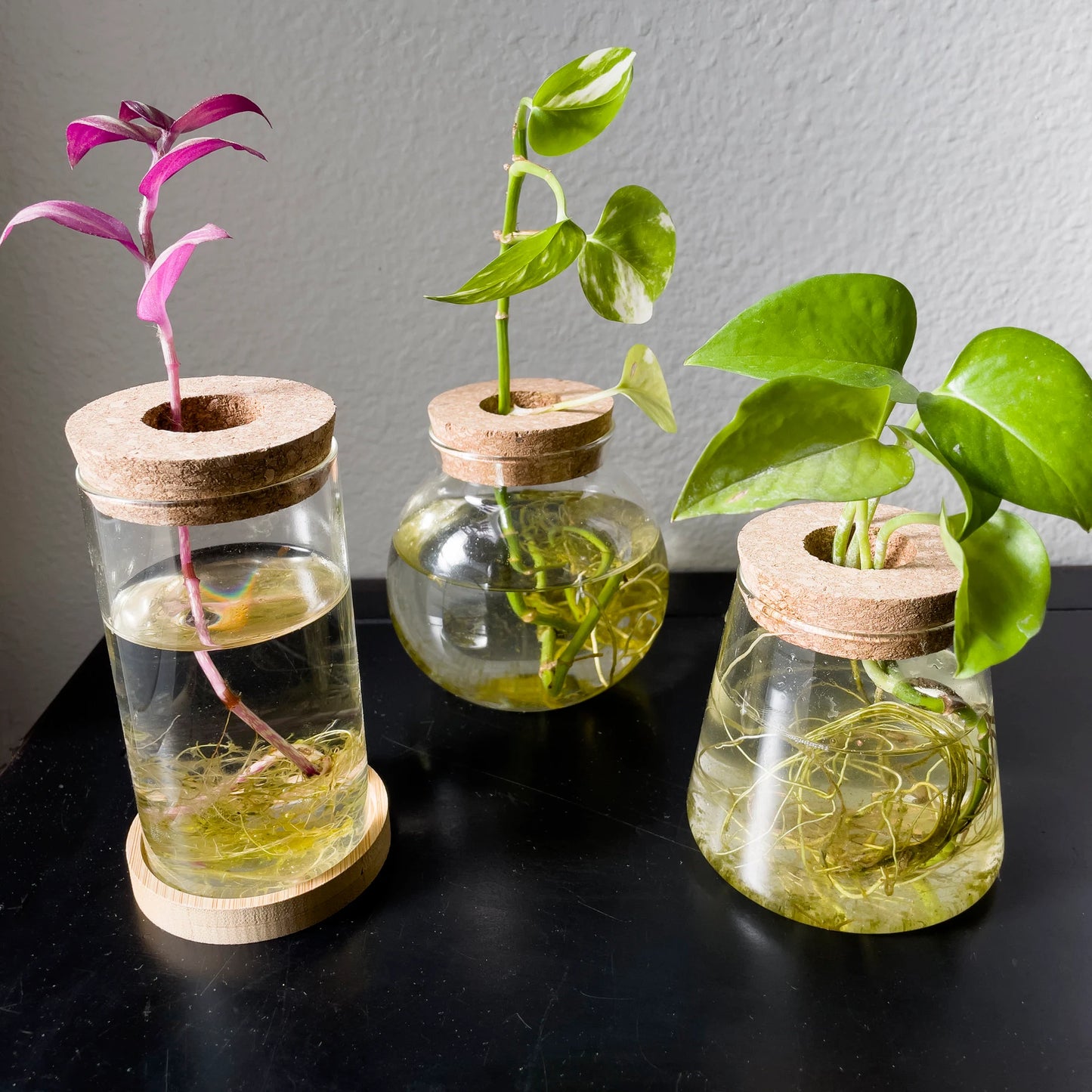 Propagation Jar Hydroponic Vase Cork Lid Plant Terrarium