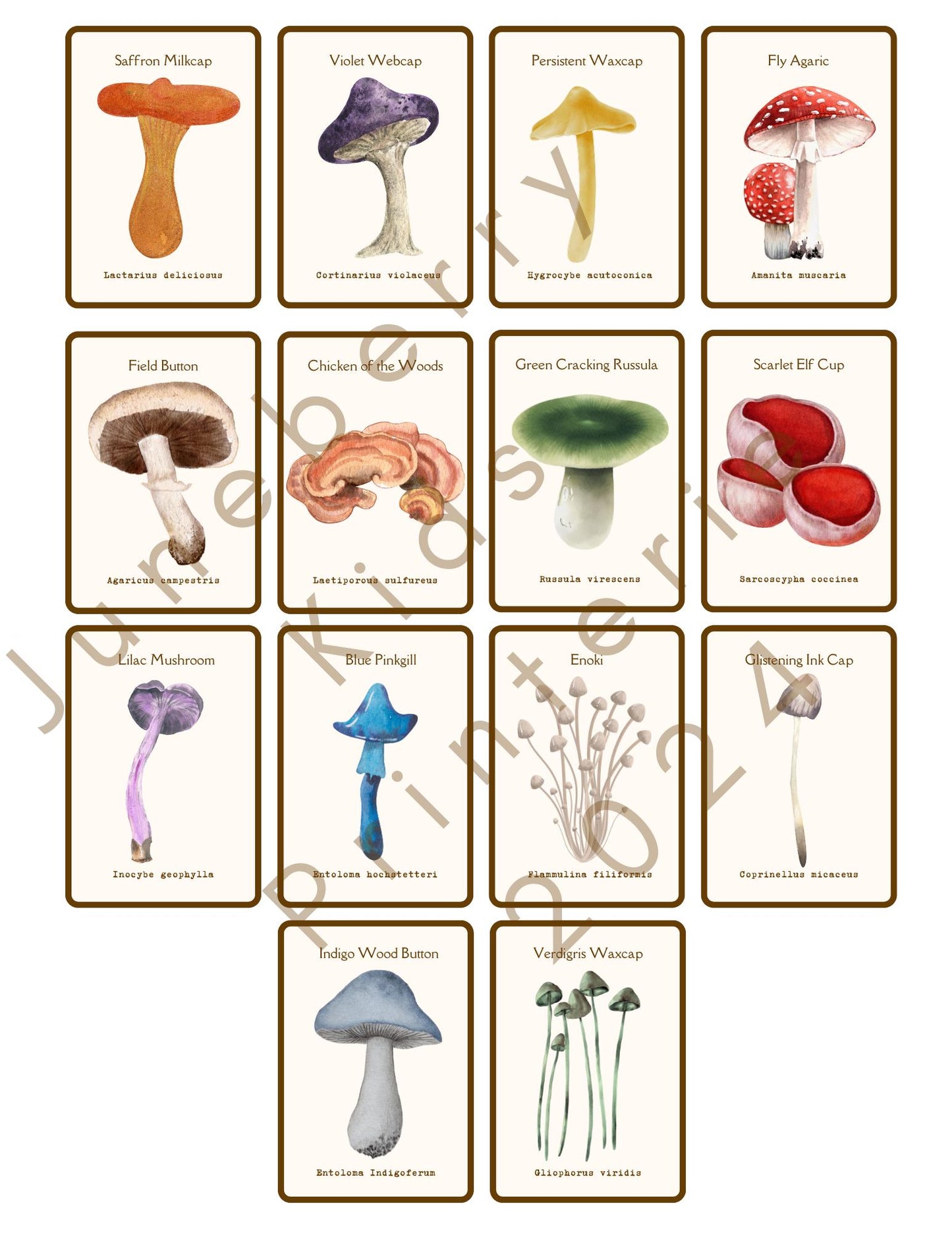 Watercolor Mushroom Flashcards | Reggio Nature Study, Montessori Learning Materials, Charlotte Mason, Early Childhood, Homeschool Printables