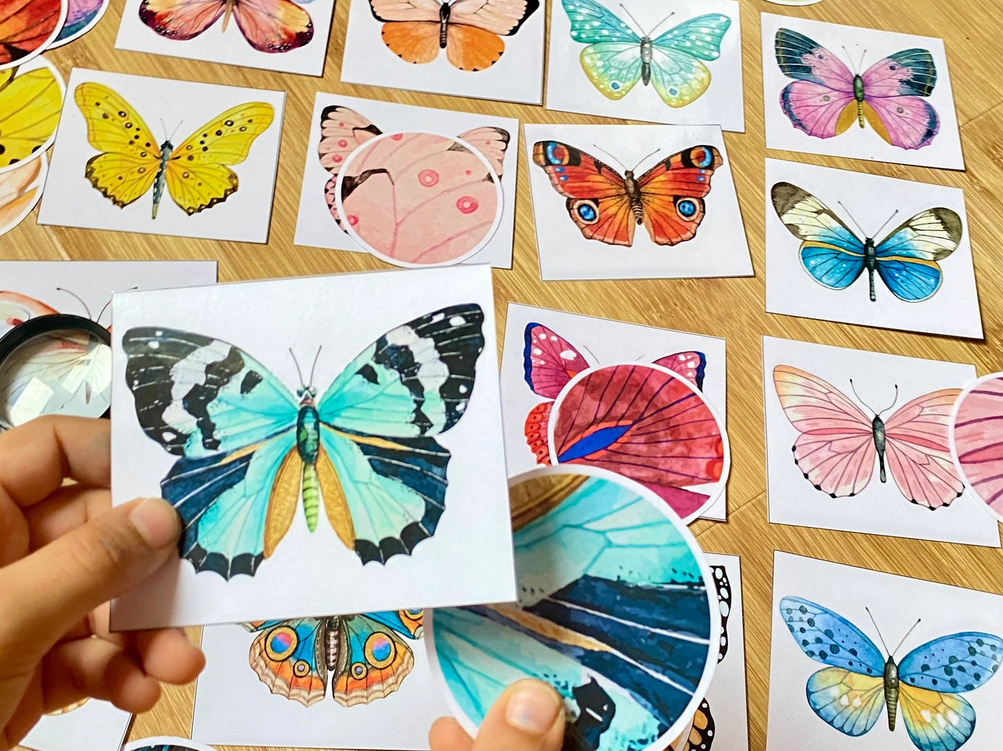 Butterfly Pattern Matching Cards, Montessori Materials, Preschool Printable, Homeschool Learning, Kindergarten Activity
