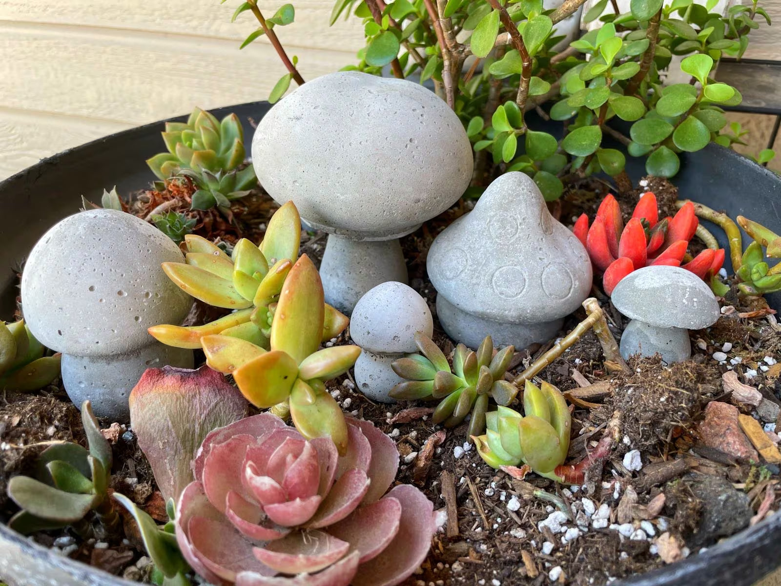 Mushrooms Concrete Garden Planter Decorations Pots Fairy Vegetable