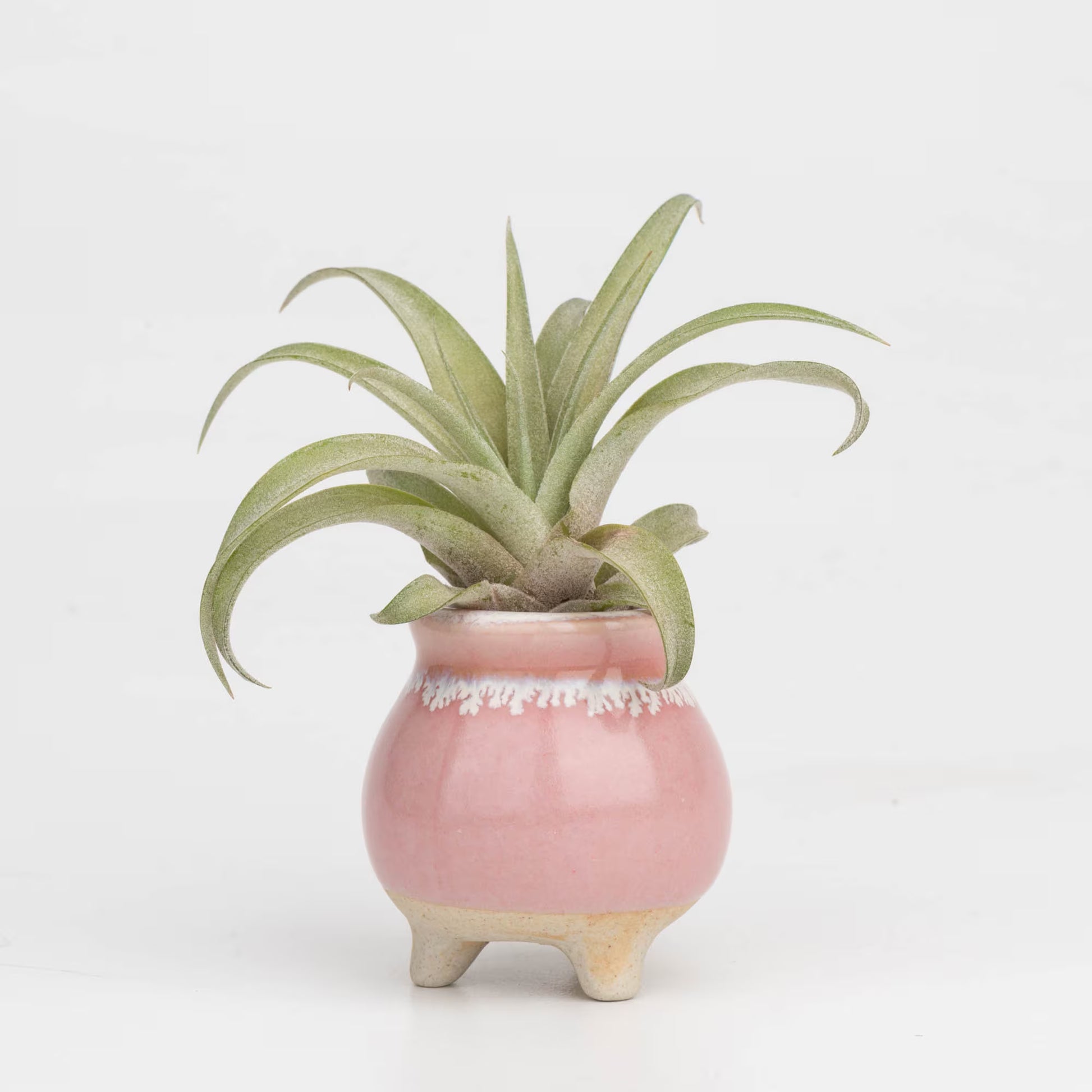 Mini size ceramic planter set, air plant pot, baby lithops pot, cactus pot, succulent pot, minimalist pot, thick pot, indoor planting pot